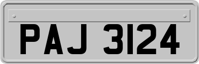 PAJ3124