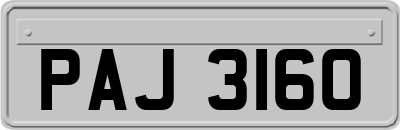 PAJ3160