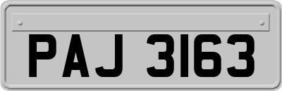 PAJ3163