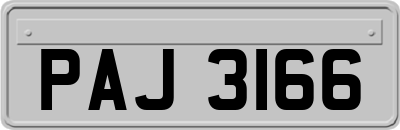 PAJ3166