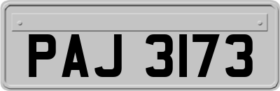 PAJ3173