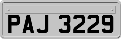 PAJ3229