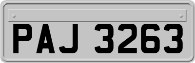 PAJ3263