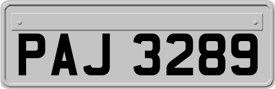 PAJ3289