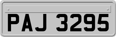 PAJ3295