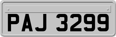 PAJ3299