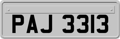 PAJ3313