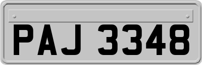 PAJ3348