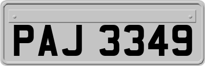 PAJ3349