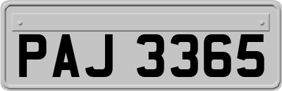 PAJ3365