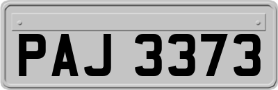 PAJ3373