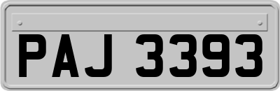 PAJ3393