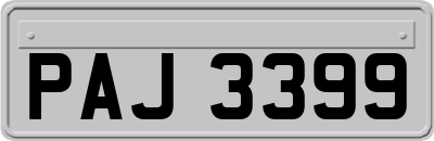 PAJ3399