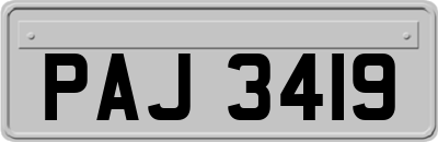 PAJ3419