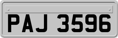 PAJ3596