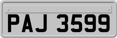PAJ3599