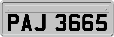 PAJ3665