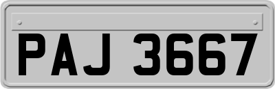 PAJ3667