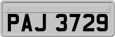 PAJ3729