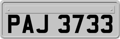 PAJ3733