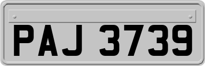 PAJ3739