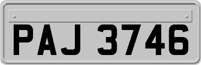 PAJ3746