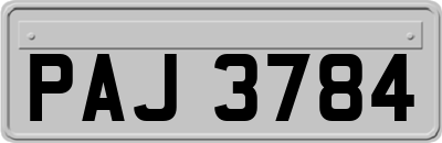 PAJ3784