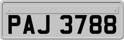 PAJ3788