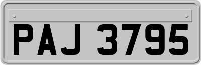 PAJ3795