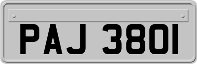 PAJ3801
