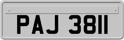 PAJ3811