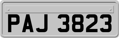 PAJ3823