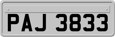 PAJ3833
