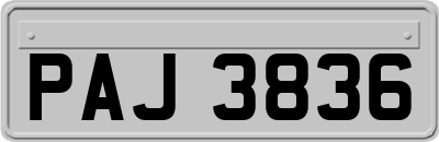 PAJ3836