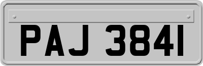 PAJ3841