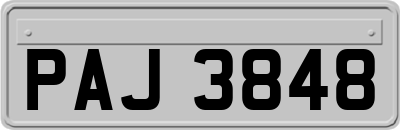 PAJ3848