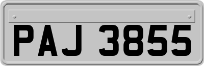PAJ3855