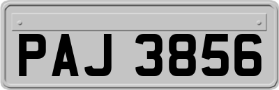 PAJ3856