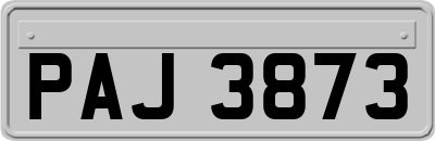 PAJ3873