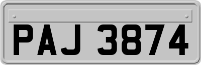 PAJ3874