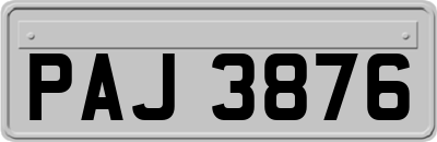 PAJ3876