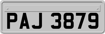PAJ3879