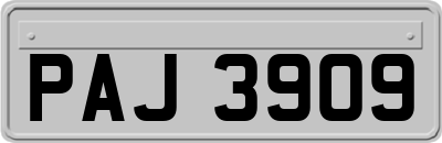 PAJ3909
