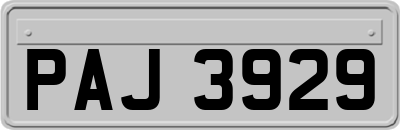 PAJ3929