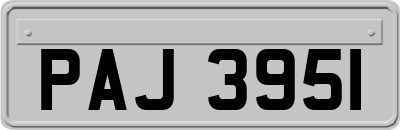 PAJ3951