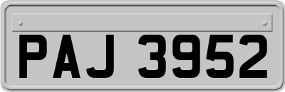 PAJ3952
