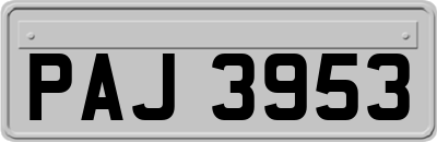 PAJ3953
