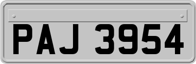 PAJ3954