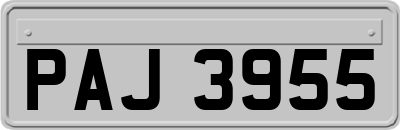 PAJ3955