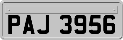 PAJ3956